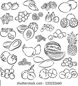 vector illustration of  fruits collection in black and white