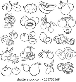 vector illustration of  fruits collection in black and white