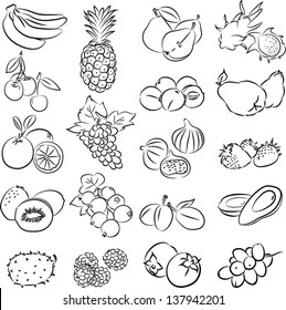 vector illustration of  fruits collection in black and white