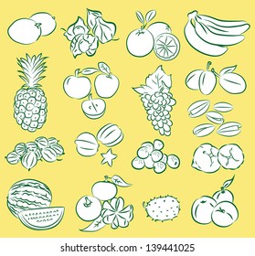 Vector Illustration of  fruits collection in line art mode