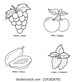 Vector Illustration Fruits Coloring Page Name Stock Vector (Royalty ...