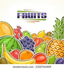 Vector illustration of Fruits with copy space, decorative plackard with illustration of group variety colorful fruits, square poster with unique brush lettering for text fruits on white background