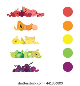 vector illustration / fruits divided by color and arranged in lines / natural nutrition rainbow concept