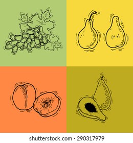  Vector illustration. Fruits. Vector fruits at engraving style. Hand drawn illustrations of fruits. Fruit in sketch style. Vector peach, pear, avocado, grapes