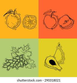  Vector illustration. Fruits. Vector fruits at engraving style. Hand drawn illustrations of fruits. Fruit in sketch style. Vector apple, orange, avocado, grapes