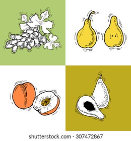  Vector illustration. Fruits. Vector fruits at engraving style. Hand drawn illustrations of fruits. Fruit in sketch style. Vector peach, pear, avocado, grapes