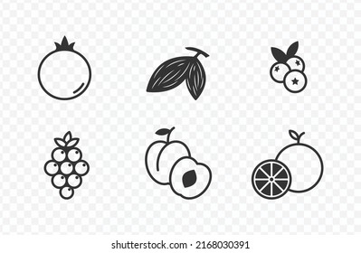 Vector illustration of fruits icon (Orange, Pomegranate, Blackberry, Blueberry, Cocoa) in dark color and transparent background(PNG).