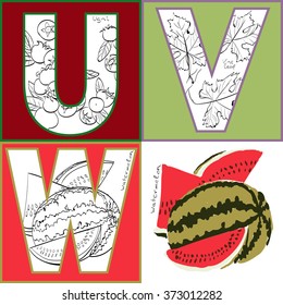Vector illustration of fruits and spices inside of letters. Letters U, V, W - ugni, vine leaf, watermelon. Hand drawing. Good for textile printing, food industry and for educational goals.