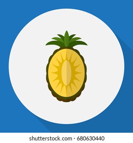 Vector Illustration Of Fruits Symbol On Pineapple Flat Icon. Premium Quality Isolated Ananas Element In Trendy Flat Style.