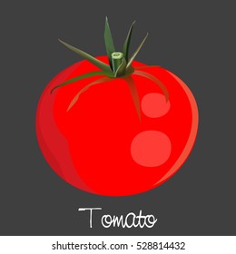 vector illustration of fruits and vegetables, vector graphic design for fruits and vegetables with a slice and text, poster using tomato