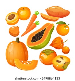 Vector illustration of fruits and vegetables in orange color includes apricot, carrots, onion, pumpkin, exotic papaya, batata, citrus, physalis, persimmon.