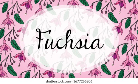 Vector illustration with fuchsia pattern sketch style