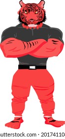 
vector illustration of a full body muscular tiger mascot. illustration on white background