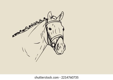 Vector illustration - full face horse head