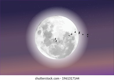 Vector illustration of a full moon on the background of the night starry sky. The shadow of birds.