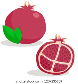 A vector illustration of a full pomegranate and half of the pomegranate with seeds in flat cartoon style, red food illustration