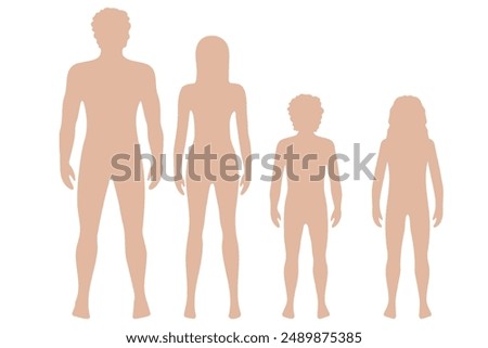 Vector illustration of full-length silhouettes of people. For study for medical and biological purposes. Picture for books, magazines and articles