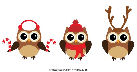 vector illustration of fun owls Christmas background