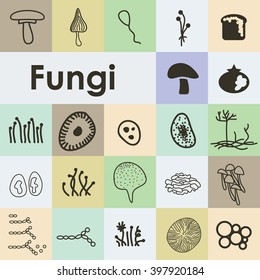 vector illustration / fungi icons set