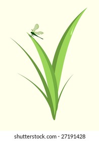 Vector illustration of  funky Dragonfly  sitting on the green leaf
