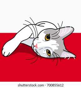 Vector illustration of funny beautiful cat lying and looking forward