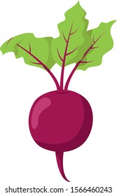 Vector illustration of a funny beet in cartoon style.