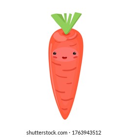 vector illustration with a funny carrot. cartoon flat style. vegetables stickers, icon.