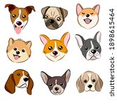 Vector illustration of funny cartoon different breeds dog in trendy flat style. Hand draw on white background.