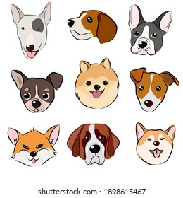 Vector illustration of funny cartoon different breeds dog in trendy flat style. Hand draw on white background.