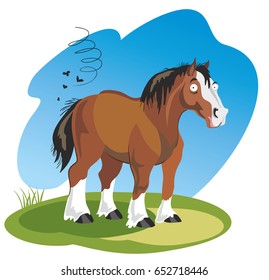 Vector illustration funny cartoon horse isolated on white background