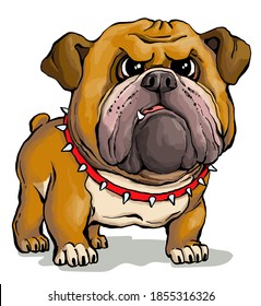 Vector illustration. Funny cartoon. A parody portrait of a cute but stern English Bulldog.