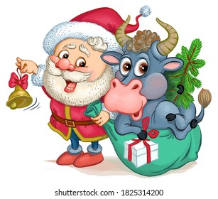 Vector illustration. Funny cartoon. Santa Claus rings a bell and a bull in a sack. Symbol of the year. The isolated object on a white background.