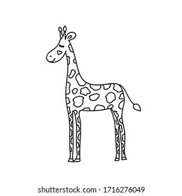 Vector illustration of funny cartoon style giraffe. Coloring book element