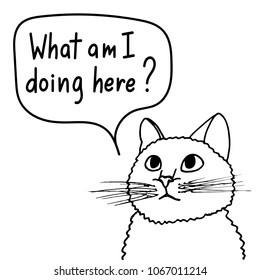 Vector illustration of funny cat in black and white in comics style. "What am i doing here?" lettering. Cute hand drawn print for t-shirt, clothes, badges, notebooks cover, cards. EPS10