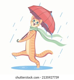 Vector illustration of a funny cat. A happy red cat in a scarf holds an umbrella and walks through puddles in the rain. Cat in the rain under an umbrella.