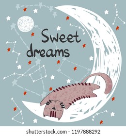 Vector illustration with funny cat and moon. Sweet dreams.