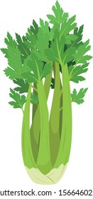Vector illustration of a funny celery in cartoon style.