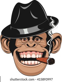 Vector illustration of funny chimpanzee hat gangster smoking a cigar and laughing