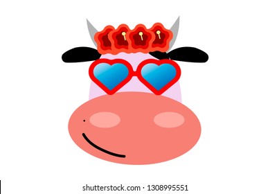 Vector illustration of funny cow with red sunglasses. funny cow for t-shirt print and other uses