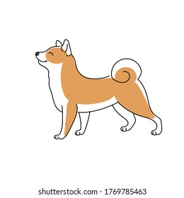 vector illustration funny cute character cartoon dog shiba inu