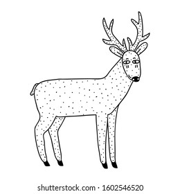Vector illustration of a funny deer that stand.Doodle style animal drawn by hand. Isolated on white background.Design for card, shirt, poster.