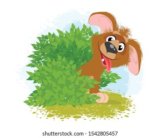 Vector illustration of a funny dog in the bushes
