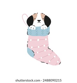 Vector illustration of a funny dog, puppy sitting in a Christmas socks