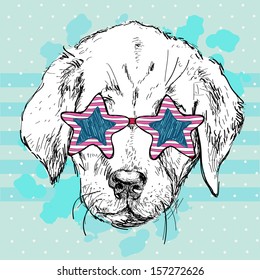 Vector illustration of funny  dog in star pink glasses on blue background, Hipster puppy