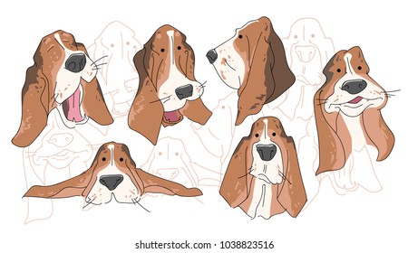 Vector illustration funny dog thoroughbred on a white background. Drawing of Basset Hound.