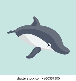 Vector illustration of a funny dolphin.
