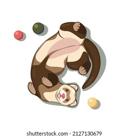 Vector illustration of a funny ferret playing with balls.