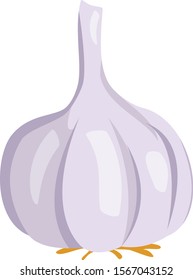 Vector illustration of a funny garlic in cartoon style.
