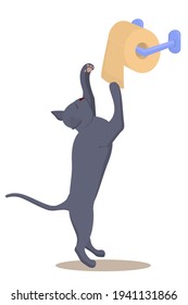 vector illustration of a funny gray cat playing with toilet paper, isolated on a white background