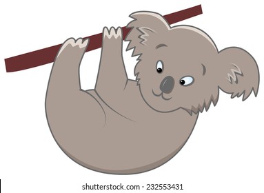 vector illustration of funny grey koala on isolated background